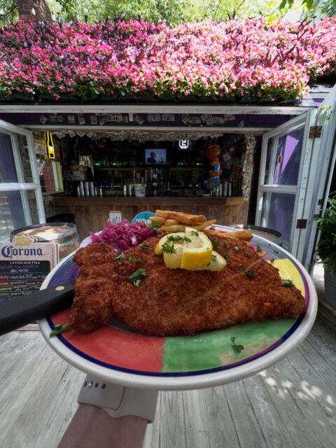 This Tuesday! We are BACK OPEN 7 DAYS A WEEK! We have also decided to open the Biergarten on Friday of Easter Weekend, April 3rd! 🌺 *weather dependent 

Today is German Day! 🥨 🇩🇪 German Draft Beers and Schnitzel are on special. Tonight we have karaoke at 9pm, and Drag Show tomorrow at 9pm too! No Cover!! 

#biergarten #schnitzel #purpleparrot #rehobothbeach #7daysaweek