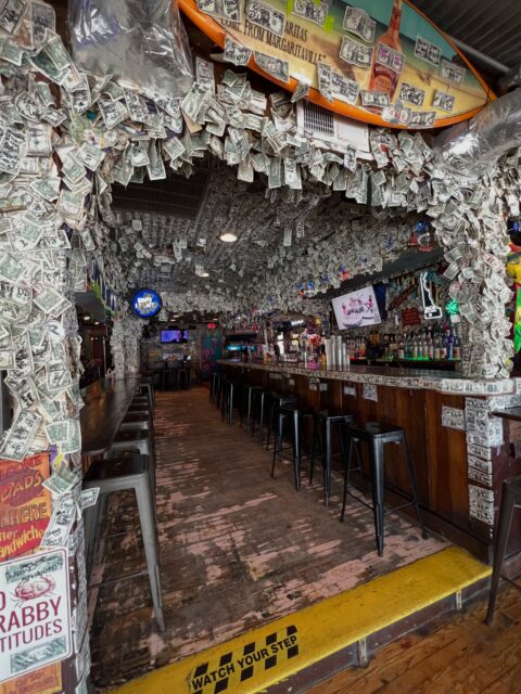 If these dollar bills could talk, they’d probably ask for another tray of wings. 💸🍗

Wings are ONE DOLLAR EACH today and Every Tuesday. (Order in quantities of six.) Yuengling Drafts are $4!

Chris Steele takes the stage at 8pm tonight! 

#purpleparrotgrill #rehobothbeach #wingtuesday #beacheats #delawarefoodie