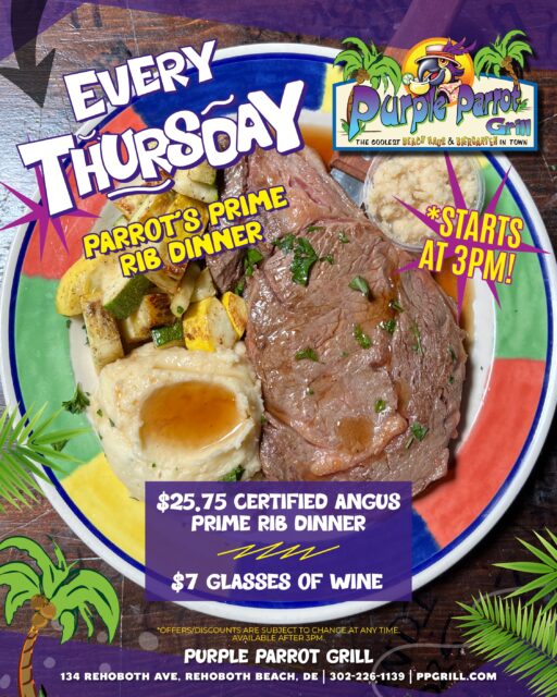 purple parrot hattiesburg dress code Robert St. John's Purple Parrot Cafe to close after 32 years
